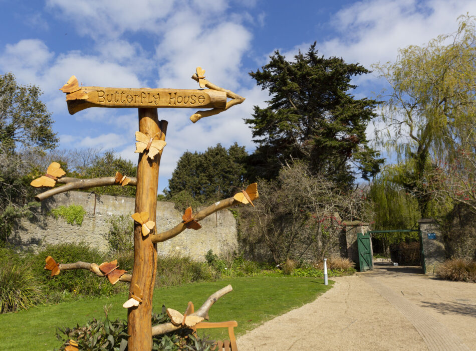 Malahide Castle, The Butterfly House.Pic Johnny Banbury