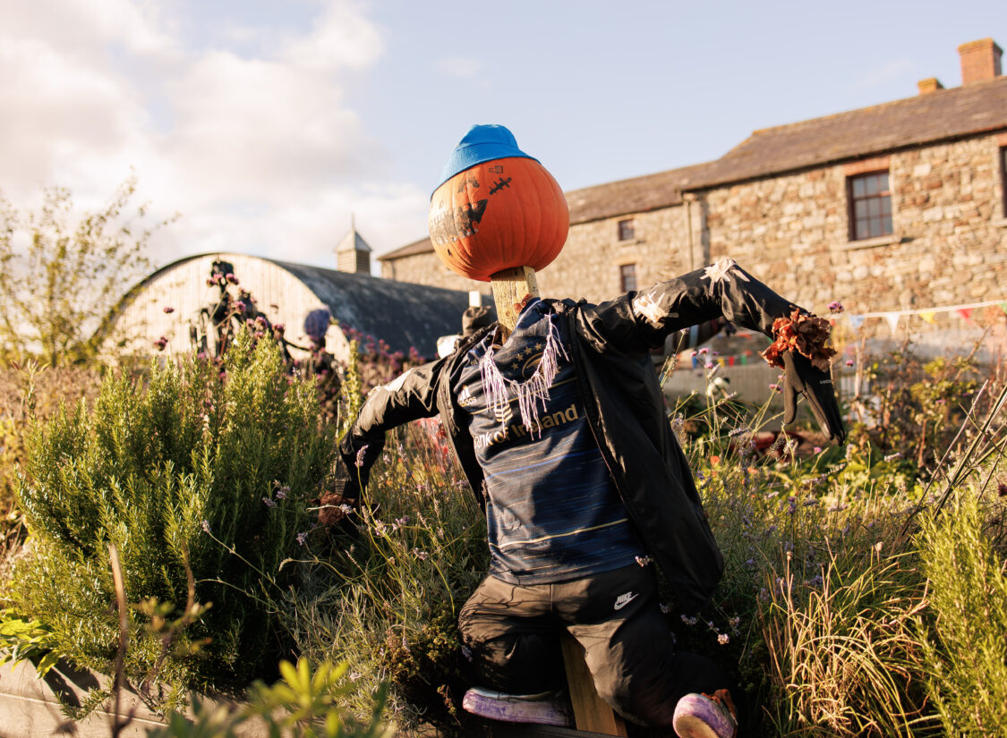 Skerries_Mills_Fireshow -24.JPG