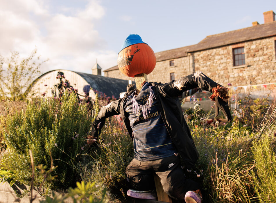 Skerries_Mills_Fireshow -24.JPG