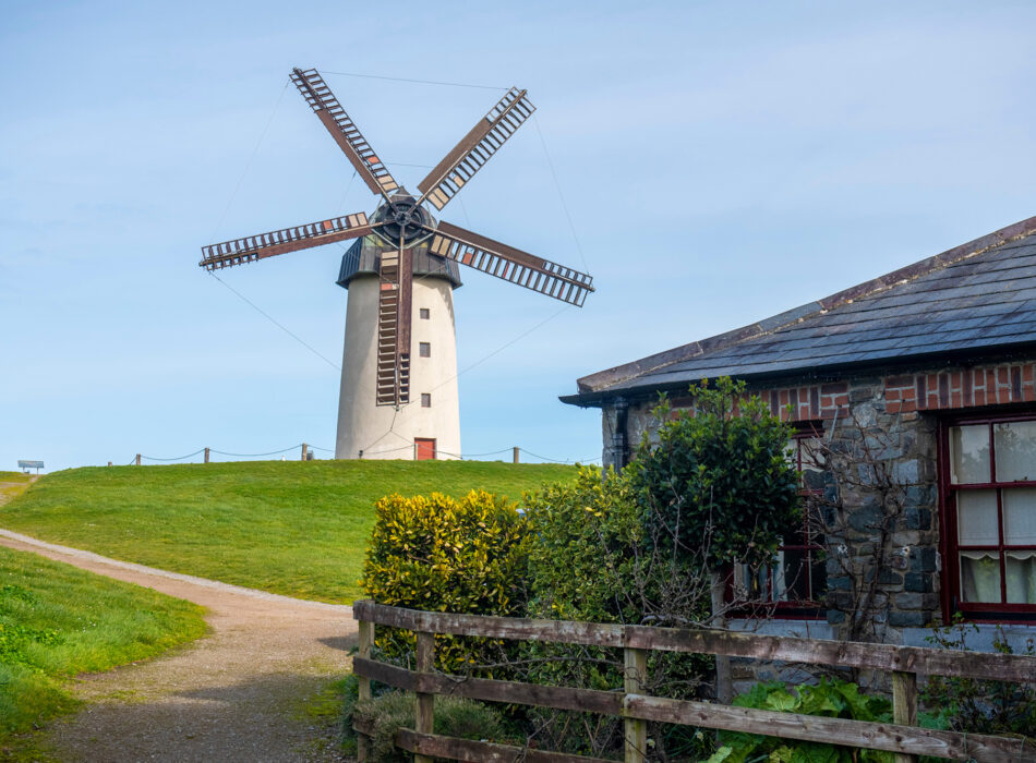Spring into Fingal