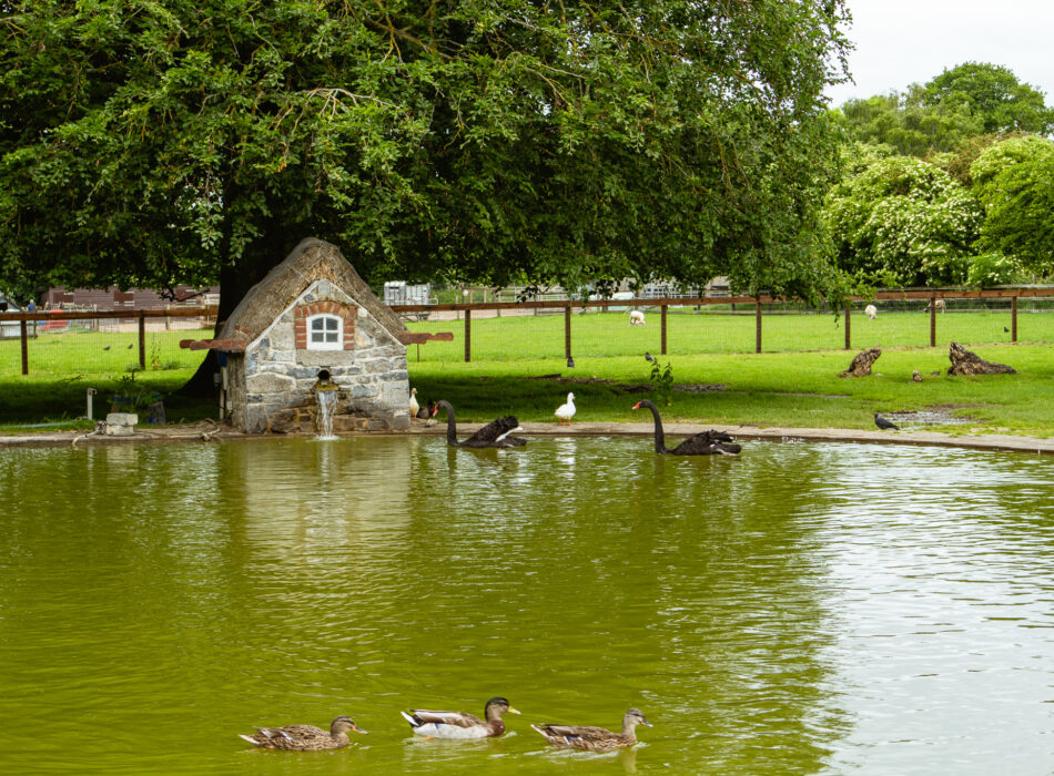 Newbridge House and Farm, Grounds, Donabate, Co Dublin