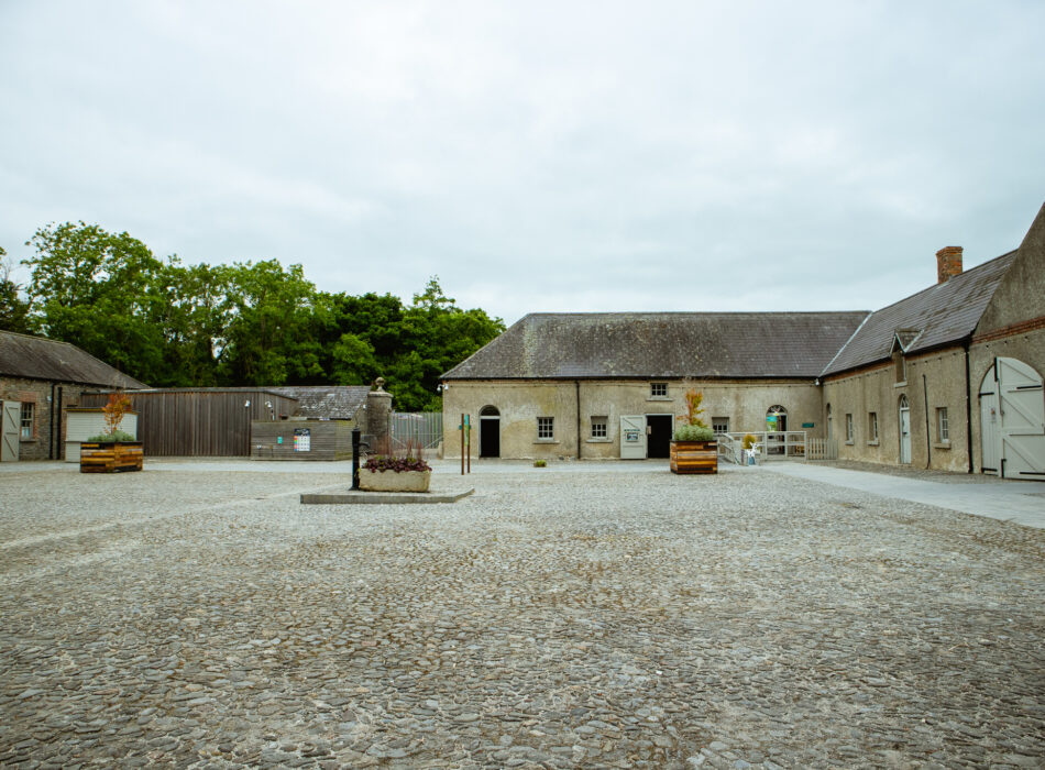 Newbridge House and Farm, Grounds, Donabate, Co Dublin