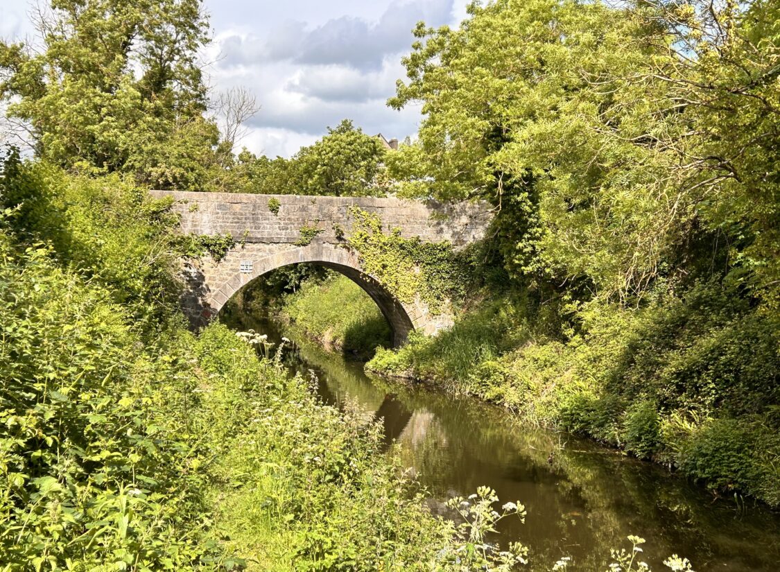 Photo 25-05-2024, 11 03 14 a.m.