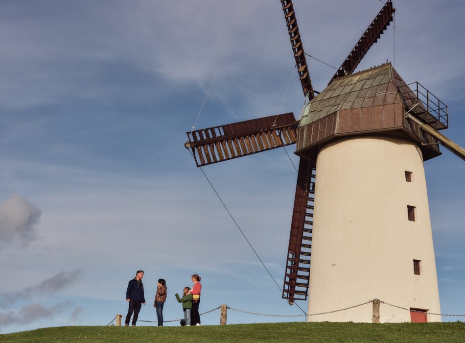 Skerries Mills