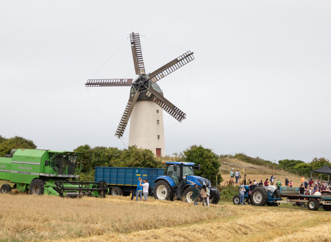 SkerriesFarmersMarketHarvestFestival 2025-79