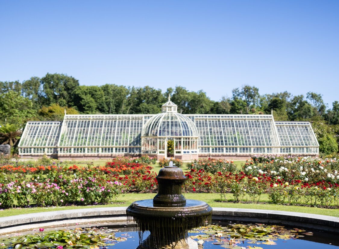 Water fountain rose garden cropped