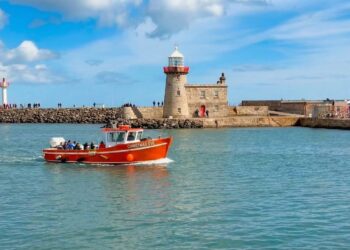 Howth Adventures – Harbour Walk and Coastal Boat Tour