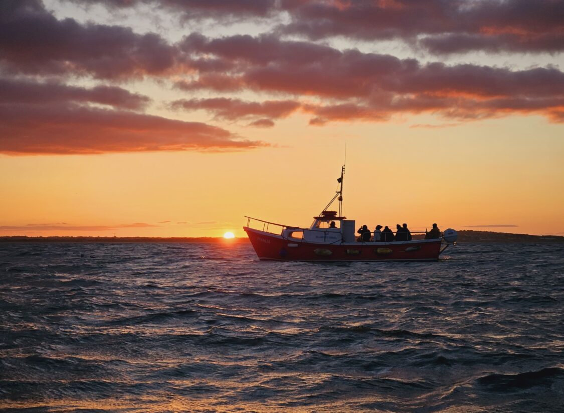 Ireland’s Eye Ferries – Howth Sundown Cruise