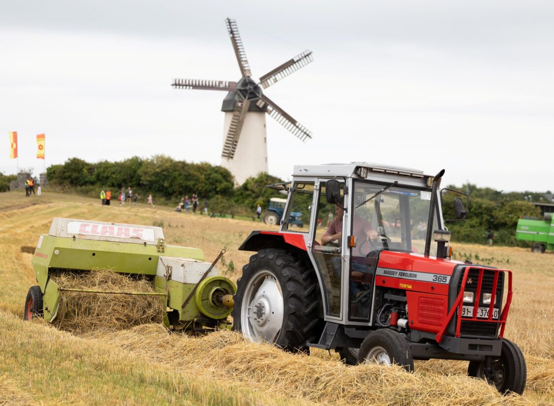 Skerries Mills – Harvest Time Festival