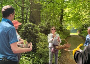 The Herb School – Wild Garlic Experience