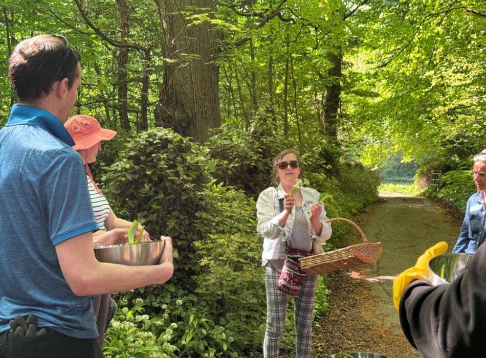 The Herb School – Wild Garlic Experience