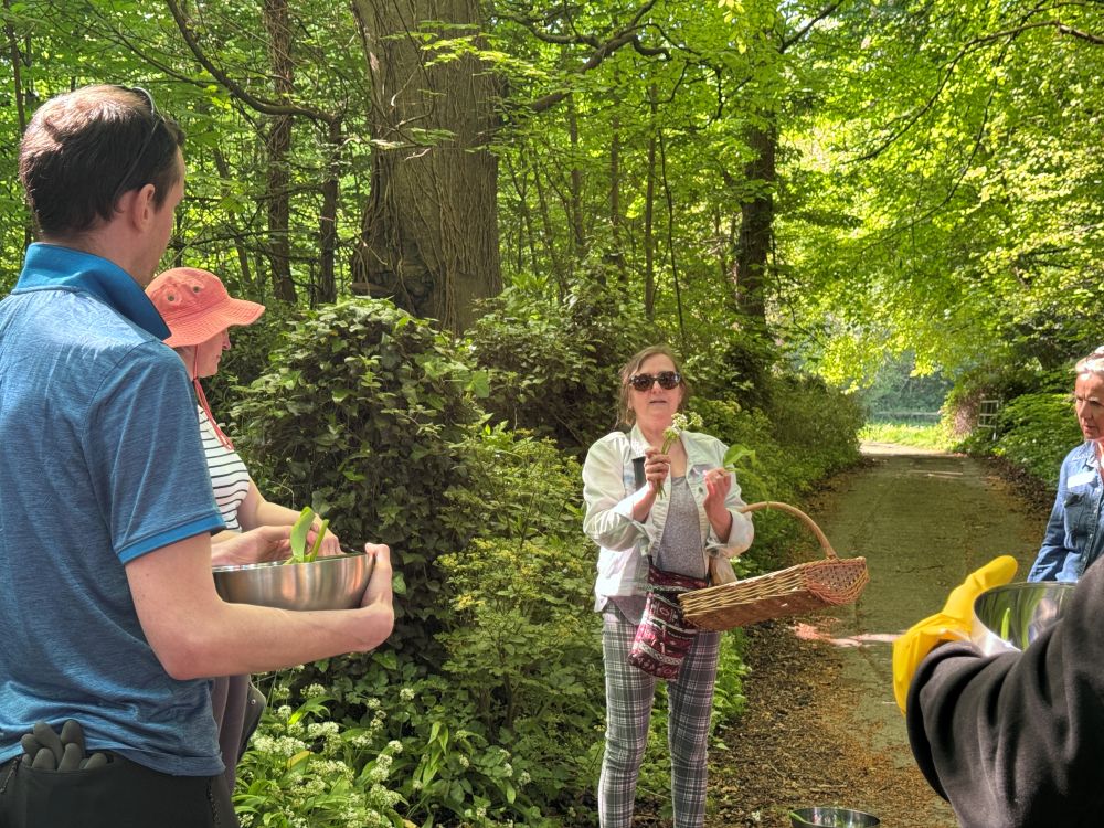 The Herb School – Wild Garlic Experience