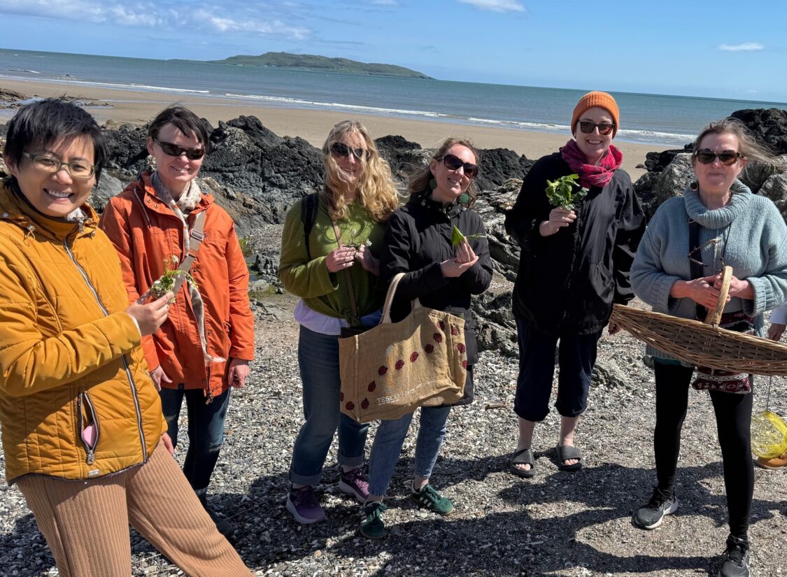The Herb School – Seashore Foraging Walk