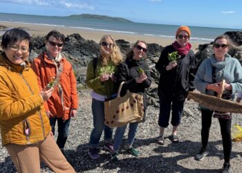 The Herb School – Seashore Foraging Walk