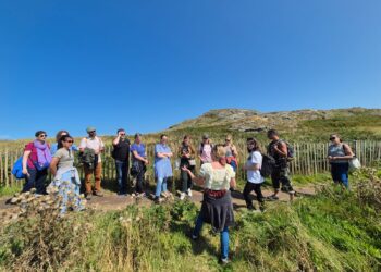 Howth Foraging – Irelands Eye Foraging & Beach Picnic