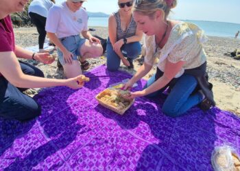 Howth Foraging – The Wonky Sauna Foraging Experience