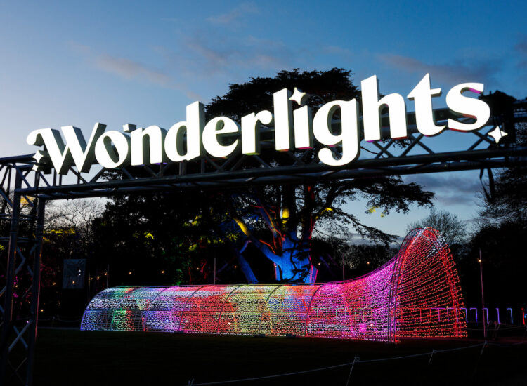 Malahide Castle – Wonderlights