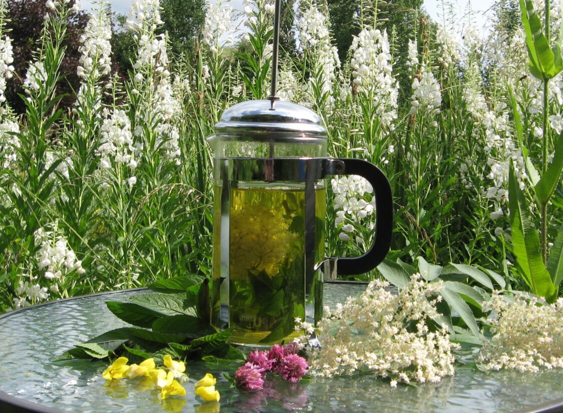 The Herb School – Medicinal Herb Workshop