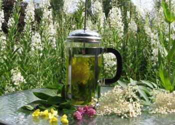 The Herb School – Medicinal Herb Workshop