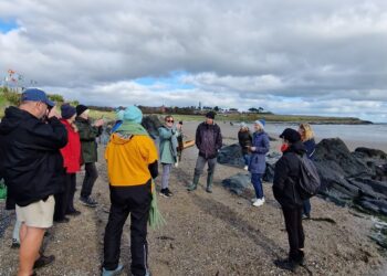 The Herb School – Seashore Foraging Walk