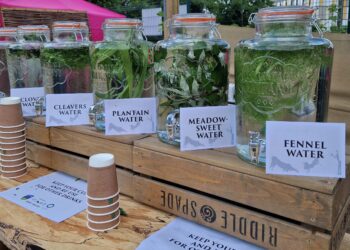 The Herb School – Introduction to Foraging Workshop