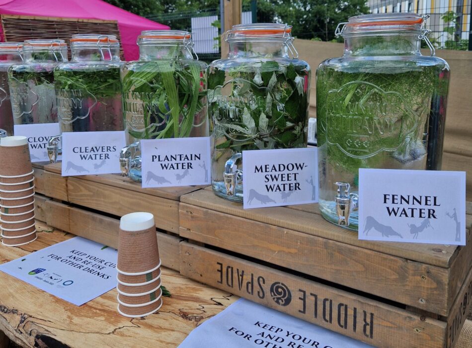 The Herb School – Introduction to Foraging Workshop