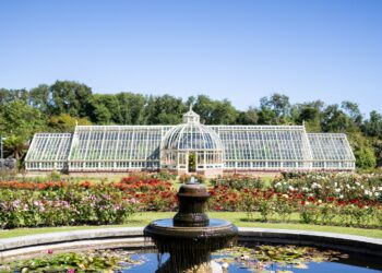 Ardgillan Castle – Garden Guided Tour