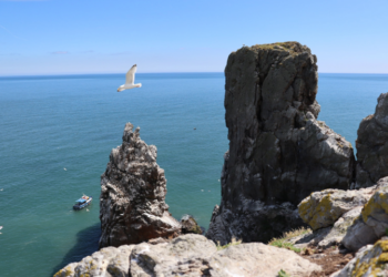 Howth Cliff Cruises – Howth Cliffs and Lighthouse Cruise