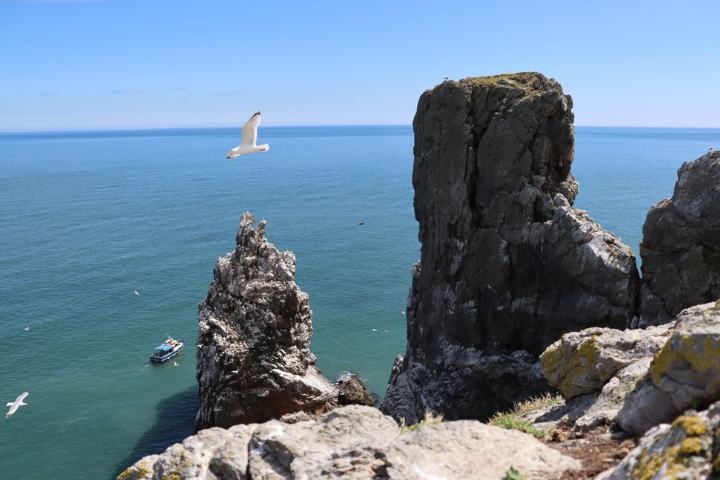 Howth Cliff Cruises – Howth Cliffs and Lighthouse Cruise