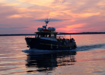Howth Cliff Cruises – Howth Sunset Cruise