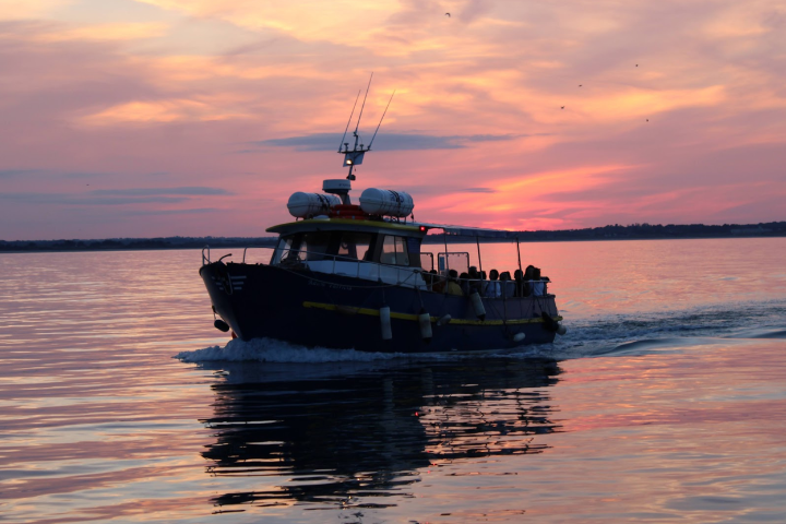 Howth Cliff Cruises – Howth Sunset Cruise