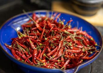 dried red chili peppers in a vibrant blue ceramic bowl.