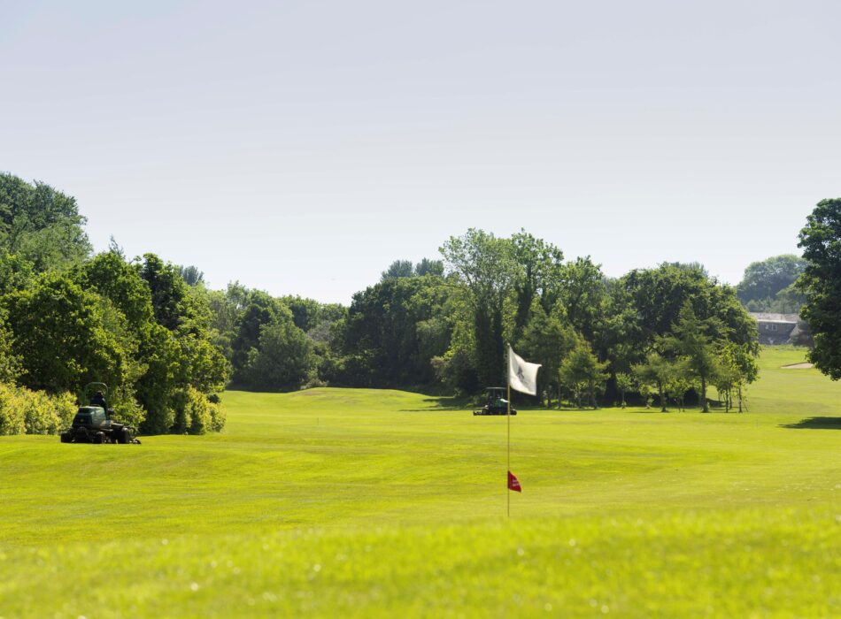 Lush green fairways nestled against tall green trees.