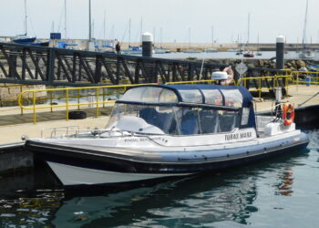 Fingal Sea Safari
