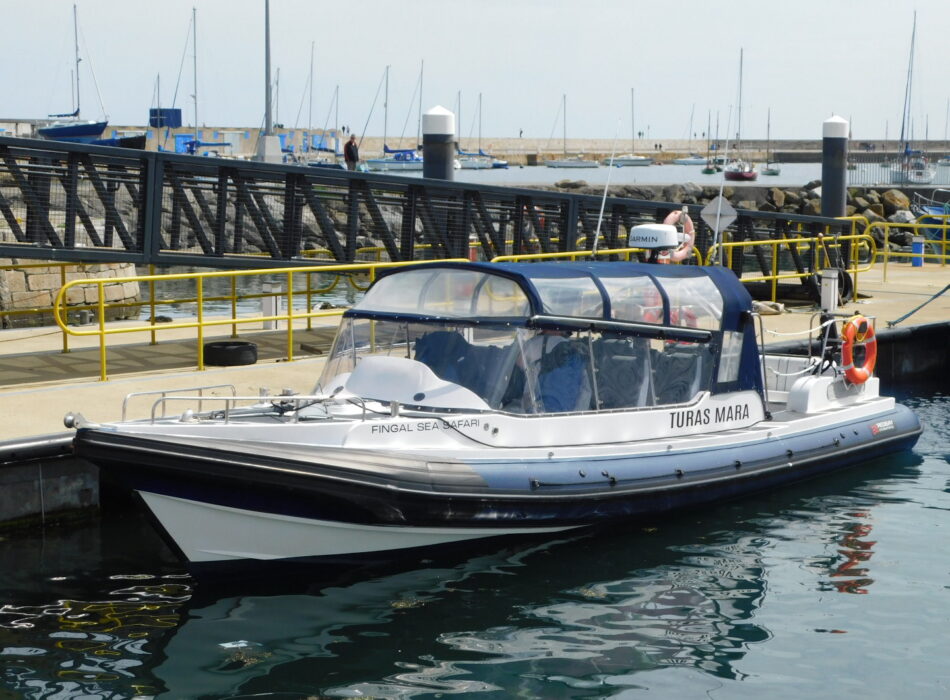 Fingal Sea Safari