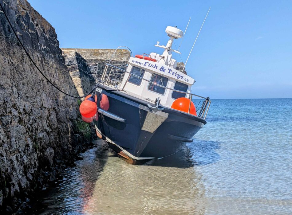 Fish & Trips - Lambay Island Walking Tour 2