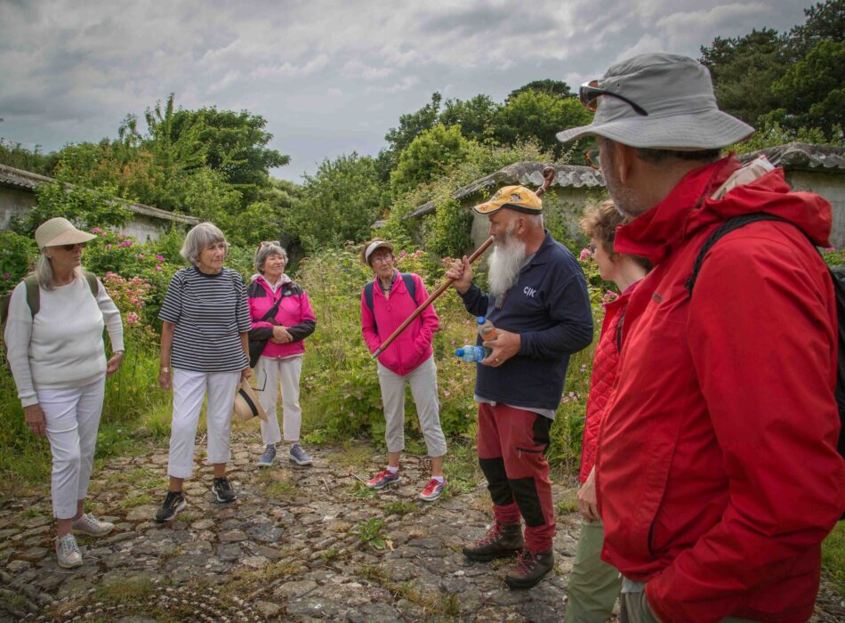 Fish & Trips guided walking tour of Lambay Island.