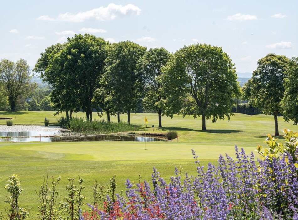 A beautifully landscaped golf course on a sunny day, featuring a manicured putting green beside a small lake. Colourful purple and pink flowers frame the foreground, while mature trees and rolling fairways stretch into the distance, capturing the tranquil parkland setting of Hollywood Lakes Golf Club.