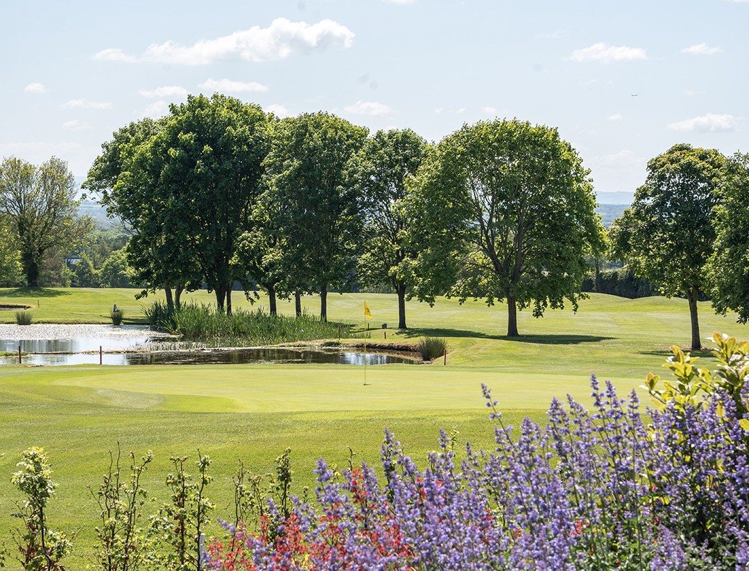A beautifully landscaped golf course on a sunny day, featuring a manicured putting green beside a small lake. Colourful purple and pink flowers frame the foreground, while mature trees and rolling fairways stretch into the distance, capturing the tranquil parkland setting of Hollywood Lakes Golf Club.