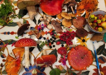 Howth Foraging – Wild Berries, Heathlands and Early Fungi