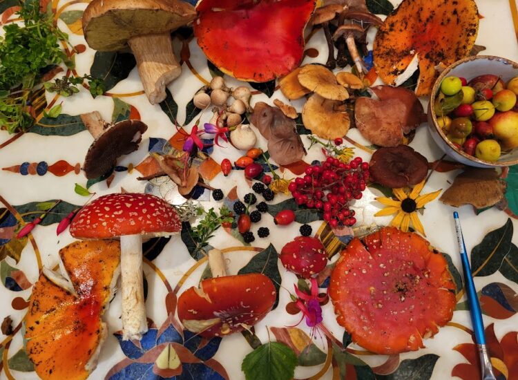 Howth Foraging – Medicinal and Culinary Mushroom Workshop