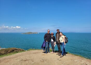 Howth Foraging – Summer Coastal Foraging Tour Sutton