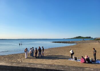 Howth Foraging – Ireland’s Eye Foraging & Beach Picnic