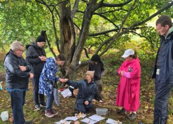 Howth Foraging – Howth Mushroom Safari
