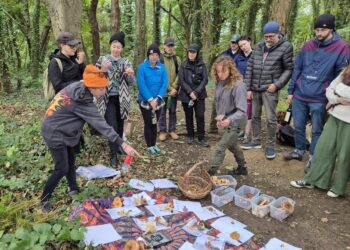 Howth Foraging – World of Fungi
