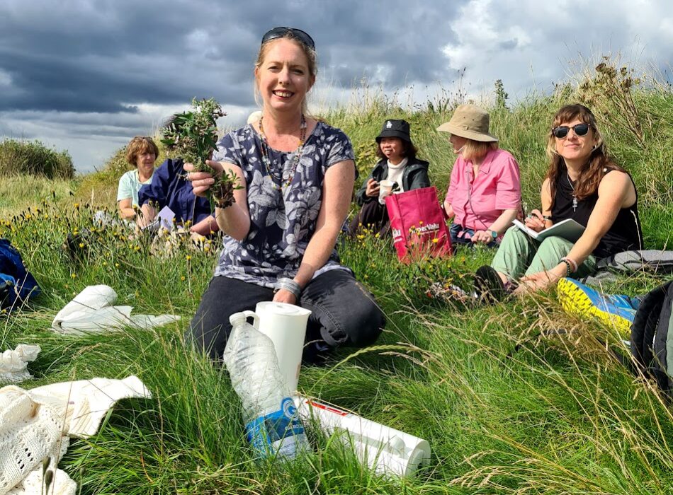 Howth Foraging Summer Time tour.