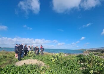 Howth Foraging – Summer Time Foraging