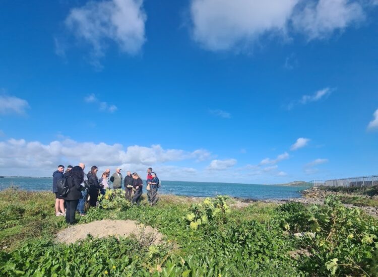 Howth Foraging – Summer Time Foraging