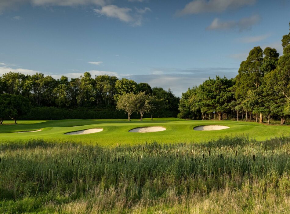 Deep oval sand bunkers cut into a slope, boarded by tall golden fescue grass in the foreground and a dense line of trees.