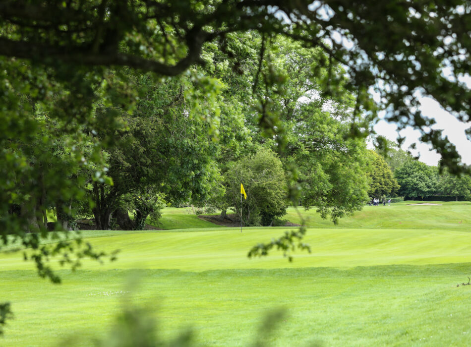 Rolling green fairways hidden behind dense green trees.